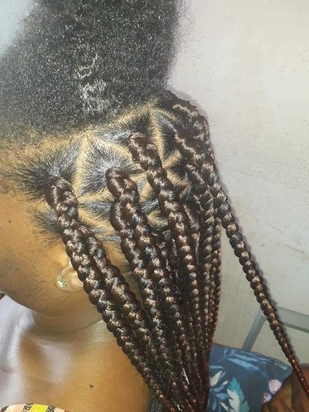 salon de coiffure afro tresse tresses box braids crochet braids vanilles tissages paris 75 77 78 91 92 93 94 95 DFDGFJQV