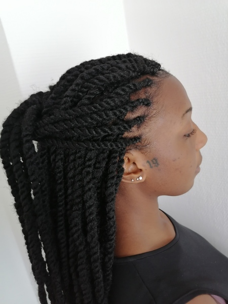 salon de coiffure afro tresse tresses box braids crochet braids vanilles tissages paris 75 77 78 91 92 93 94 95 EOQVSBTR