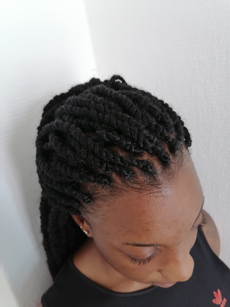 salon de coiffure afro tresse tresses box braids crochet braids vanilles tissages paris 75 77 78 91 92 93 94 95 IGHOFLKV