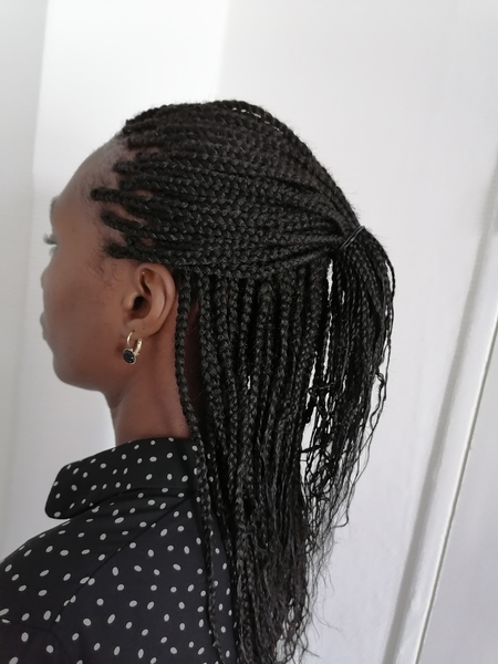 salon de coiffure afro tresse tresses box braids crochet braids vanilles tissages paris 75 77 78 91 92 93 94 95 MEONYBVJ