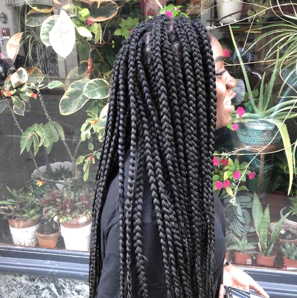 salon de coiffure afro tresse tresses box braids crochet braids vanilles tissages paris 75 77 78 91 92 93 94 95 VVIUUNEK