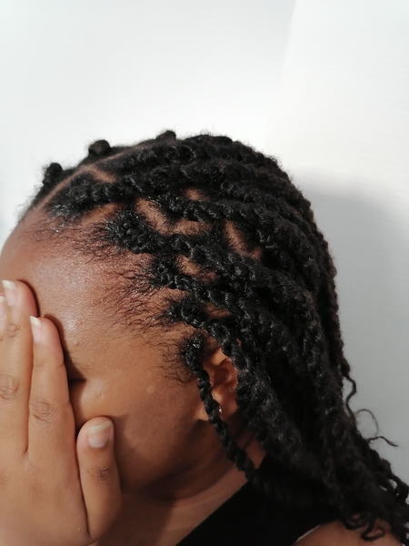 salon de coiffure afro tresse tresses box braids crochet braids vanilles tissages paris 75 77 78 91 92 93 94 95 GVWMPBYE