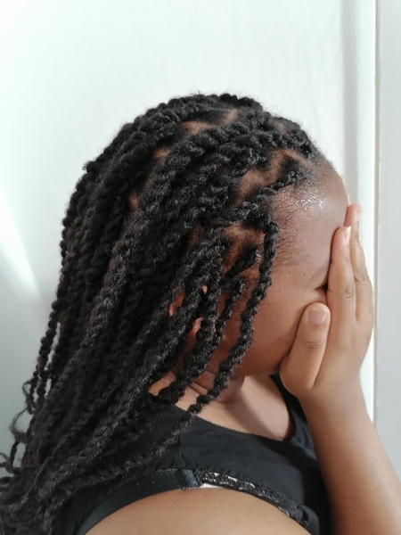 salon de coiffure afro tresse tresses box braids crochet braids vanilles tissages paris 75 77 78 91 92 93 94 95 ONRZGYYC