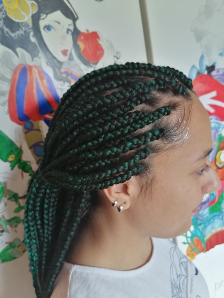 salon de coiffure afro tresse tresses box braids crochet braids vanilles tissages paris 75 77 78 91 92 93 94 95 TDHNSAZU