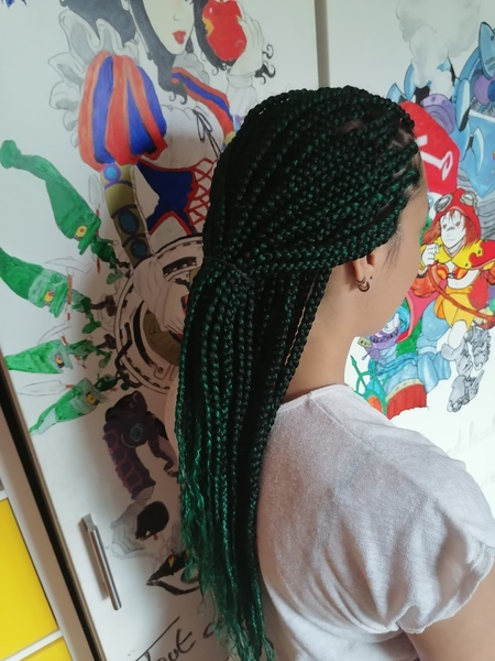 salon de coiffure afro tresse tresses box braids crochet braids vanilles tissages paris 75 77 78 91 92 93 94 95 LNTHLVWW