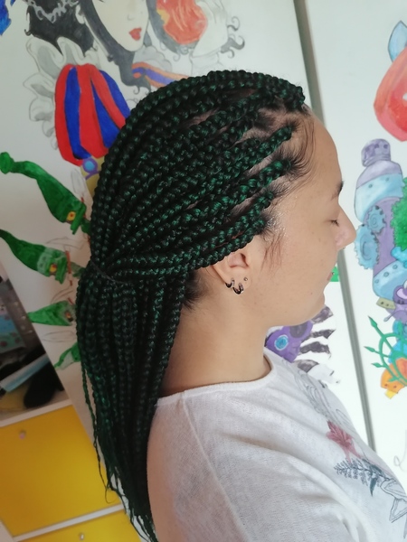 salon de coiffure afro tresse tresses box braids crochet braids vanilles tissages paris 75 77 78 91 92 93 94 95 EVCDDEEQ