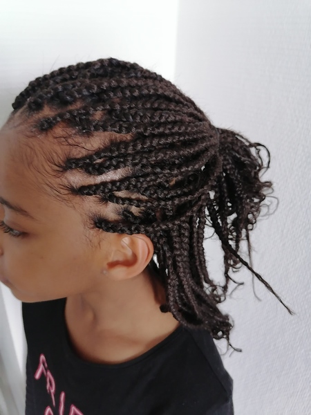 salon de coiffure afro tresse tresses box braids crochet braids vanilles tissages paris 75 77 78 91 92 93 94 95 PYWNHKML