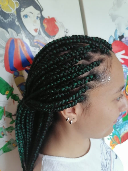 salon de coiffure afro tresse tresses box braids crochet braids vanilles tissages paris 75 77 78 91 92 93 94 95 RDTUWDOK