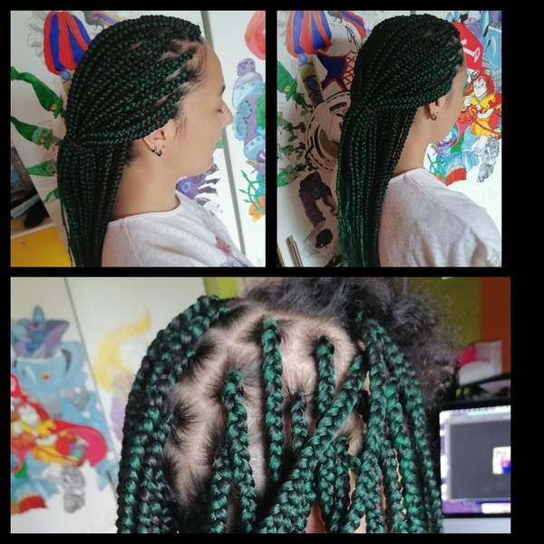 salon de coiffure afro tresse tresses box braids crochet braids vanilles tissages paris 75 77 78 91 92 93 94 95 STFUZKNU