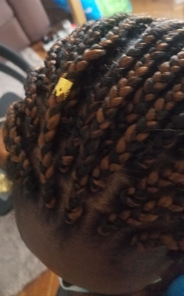 salon de coiffure afro tresse tresses box braids crochet braids vanilles tissages paris 75 77 78 91 92 93 94 95 YDPIUXFP