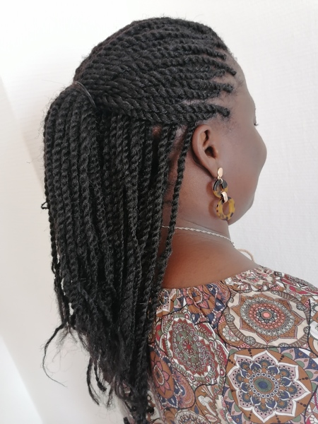 salon de coiffure afro tresse tresses box braids crochet braids vanilles tissages paris 75 77 78 91 92 93 94 95 FFVTZONI