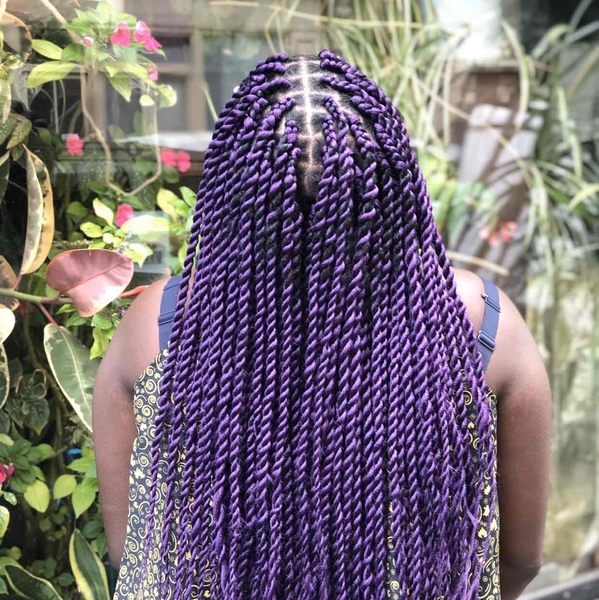salon de coiffure afro tresse tresses box braids crochet braids vanilles tissages paris 75 77 78 91 92 93 94 95 RPCVWCGY
