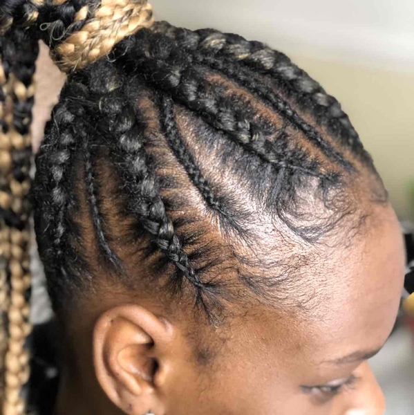 salon de coiffure afro tresse tresses box braids crochet braids vanilles tissages paris 75 77 78 91 92 93 94 95 EJVGOMMM