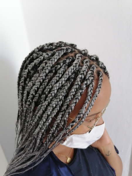 salon de coiffure afro tresse tresses box braids crochet braids vanilles tissages paris 75 77 78 91 92 93 94 95 GKPYCWWP