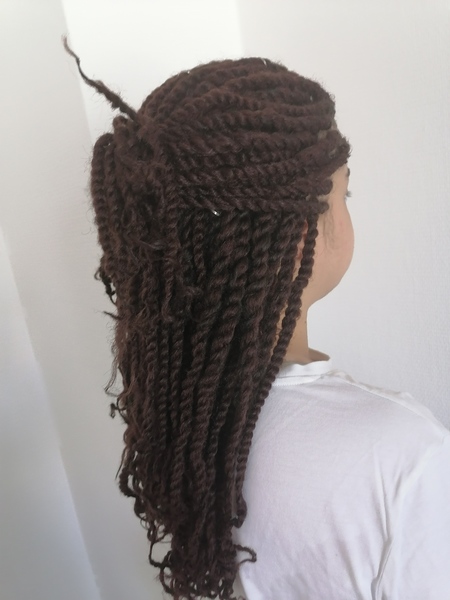salon de coiffure afro tresse tresses box braids crochet braids vanilles tissages paris 75 77 78 91 92 93 94 95 JCSJYXBA
