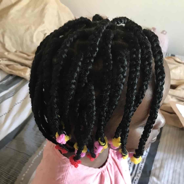 salon de coiffure afro tresse tresses box braids crochet braids vanilles tissages paris 75 77 78 91 92 93 94 95 FMLIEACP