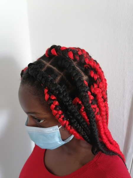 salon de coiffure afro tresse tresses box braids crochet braids vanilles tissages paris 75 77 78 91 92 93 94 95 INGFXPZL