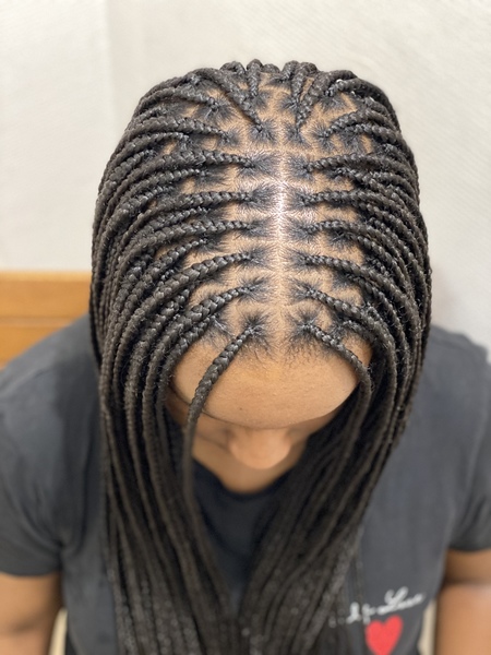 salon de coiffure afro tresse tresses box braids crochet braids vanilles tissages paris 75 77 78 91 92 93 94 95 WUUWJGVG