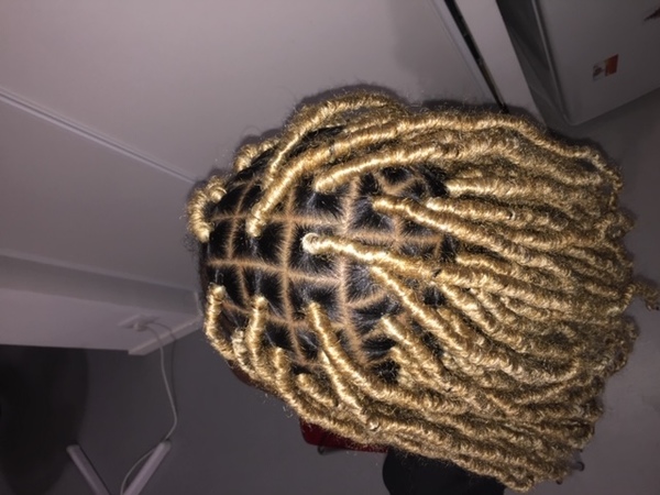 salon de coiffure afro tresse tresses box braids crochet braids vanilles tissages paris 75 77 78 91 92 93 94 95 UCFUCRLB