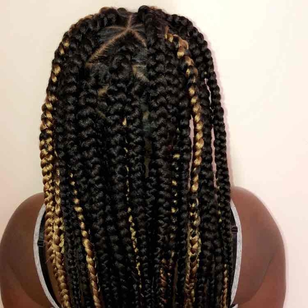 salon de coiffure afro tresse tresses box braids crochet braids vanilles tissages paris 75 77 78 91 92 93 94 95 OMLOPHOC