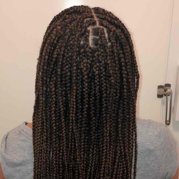 salon de coiffure afro tresse tresses box braids crochet braids vanilles tissages paris 75 77 78 91 92 93 94 95 WFERHDXR