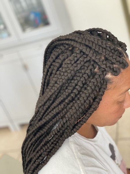 salon de coiffure afro tresse tresses box braids crochet braids vanilles tissages paris 75 77 78 91 92 93 94 95 FBCINJFW