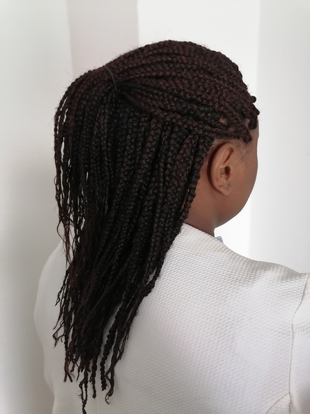 salon de coiffure afro tresse tresses box braids crochet braids vanilles tissages paris 75 77 78 91 92 93 94 95 ZXEQDBYV