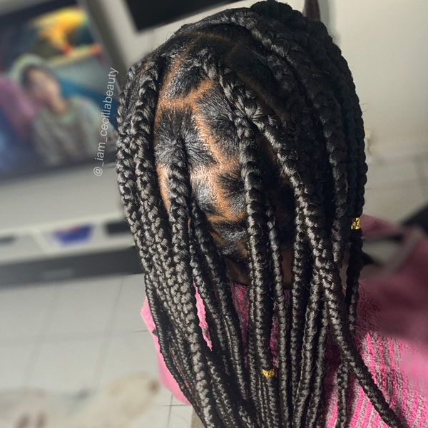 salon de coiffure afro tresse tresses box braids crochet braids vanilles tissages paris 75 77 78 91 92 93 94 95 TIMMZJAH