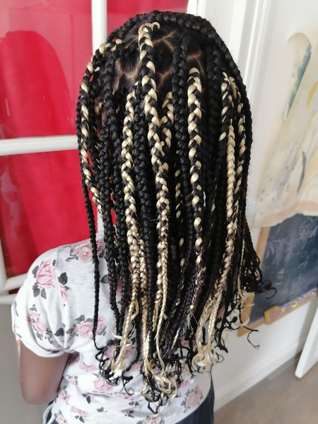 salon de coiffure afro tresse tresses box braids crochet braids vanilles tissages paris 75 77 78 91 92 93 94 95 NWMJPBRN