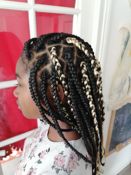 salon de coiffure afro tresse tresses box braids crochet braids vanilles tissages paris 75 77 78 91 92 93 94 95 DQYREEUI