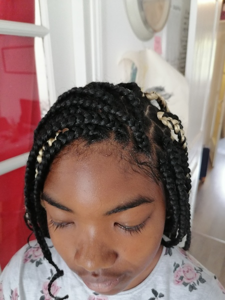 salon de coiffure afro tresse tresses box braids crochet braids vanilles tissages paris 75 77 78 91 92 93 94 95 CCKLEDJR