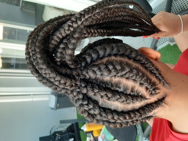 salon de coiffure afro tresse tresses box braids crochet braids vanilles tissages paris 75 77 78 91 92 93 94 95 BISMHGKW