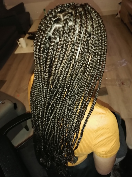 salon de coiffure afro tresse tresses box braids crochet braids vanilles tissages paris 75 77 78 91 92 93 94 95 IJTOIUTP
