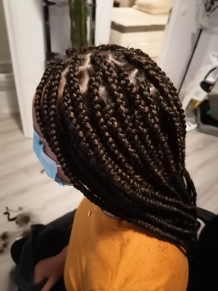 salon de coiffure afro tresse tresses box braids crochet braids vanilles tissages paris 75 77 78 91 92 93 94 95 ROIOGBJI