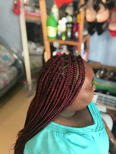 salon de coiffure afro tresse tresses box braids crochet braids vanilles tissages paris 75 77 78 91 92 93 94 95 YILUCMPQ