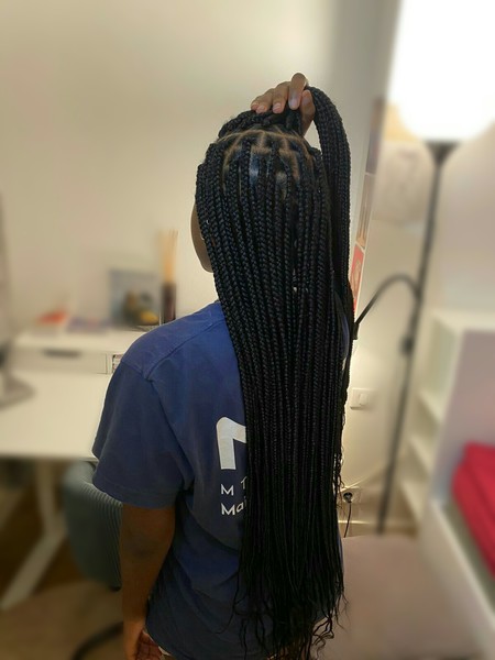 salon de coiffure afro tresse tresses box braids crochet braids vanilles tissages paris 75 77 78 91 92 93 94 95 RFFMZTUK