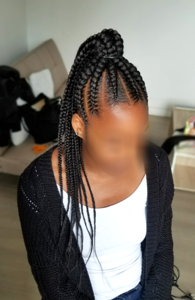 salon de coiffure afro tresse tresses box braids crochet braids vanilles tissages paris 75 77 78 91 92 93 94 95 RUBKLTXI