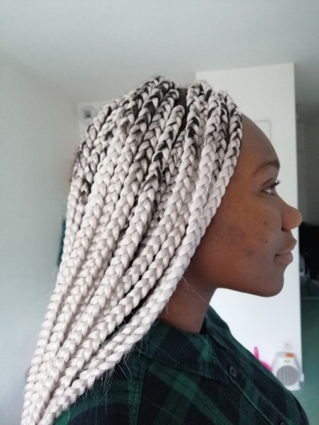 salon de coiffure afro tresse tresses box braids crochet braids vanilles tissages paris 75 77 78 91 92 93 94 95 PGBKNBVK