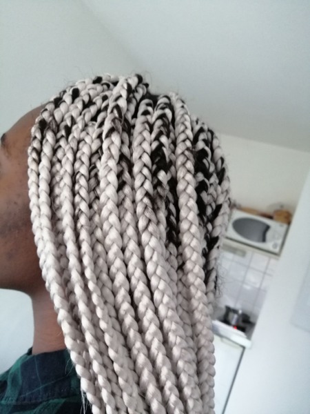 salon de coiffure afro tresse tresses box braids crochet braids vanilles tissages paris 75 77 78 91 92 93 94 95 GWVNVLTC
