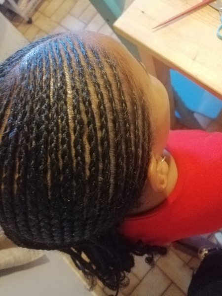 salon de coiffure afro tresse tresses box braids crochet braids vanilles tissages paris 75 77 78 91 92 93 94 95 TPBVFWUX