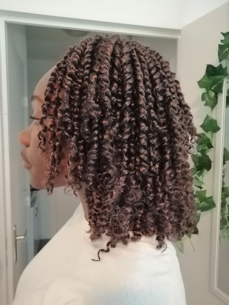 salon de coiffure afro tresse tresses box braids crochet braids vanilles tissages paris 75 77 78 91 92 93 94 95 CTSCANKL