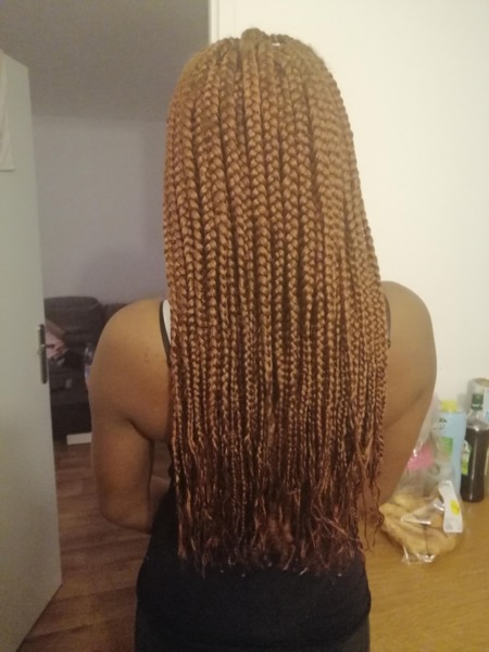 salon de coiffure afro tresse tresses box braids crochet braids vanilles tissages paris 75 77 78 91 92 93 94 95 MSOFESCX