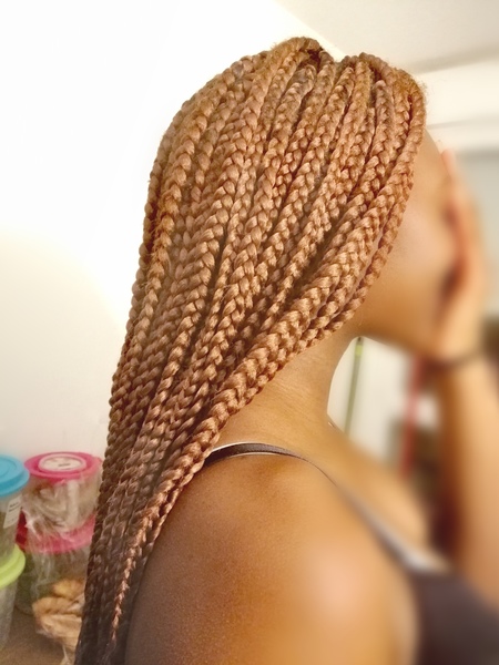 salon de coiffure afro tresse tresses box braids crochet braids vanilles tissages paris 75 77 78 91 92 93 94 95 RQQTQKNG