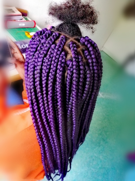 salon de coiffure afro tresse tresses box braids crochet braids vanilles tissages paris 75 77 78 91 92 93 94 95 WPLEIVAN