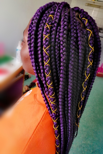 salon de coiffure afro tresse tresses box braids crochet braids vanilles tissages paris 75 77 78 91 92 93 94 95 FRSQACMH