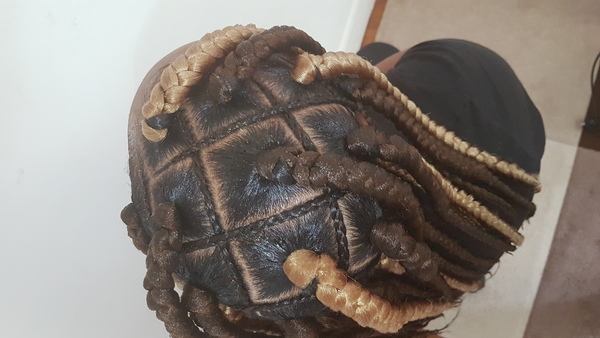 salon de coiffure afro tresse tresses box braids crochet braids vanilles tissages paris 75 77 78 91 92 93 94 95 CKCPCNWB