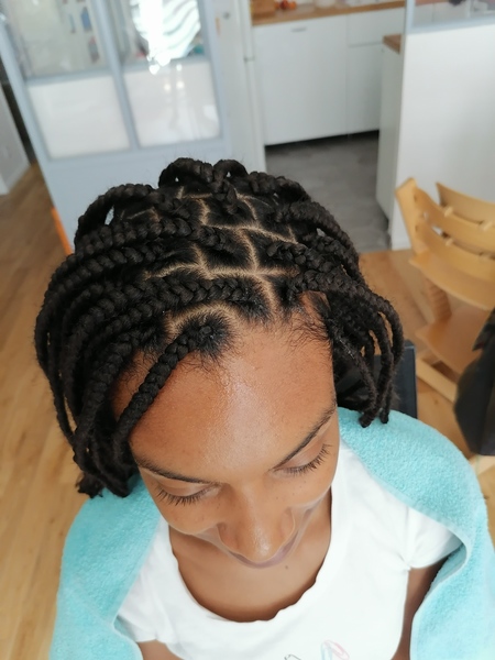 salon de coiffure afro tresse tresses box braids crochet braids vanilles tissages paris 75 77 78 91 92 93 94 95 QWWXELAT