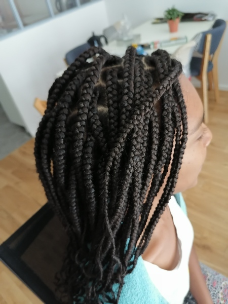 salon de coiffure afro tresse tresses box braids crochet braids vanilles tissages paris 75 77 78 91 92 93 94 95 CTYBBCWA