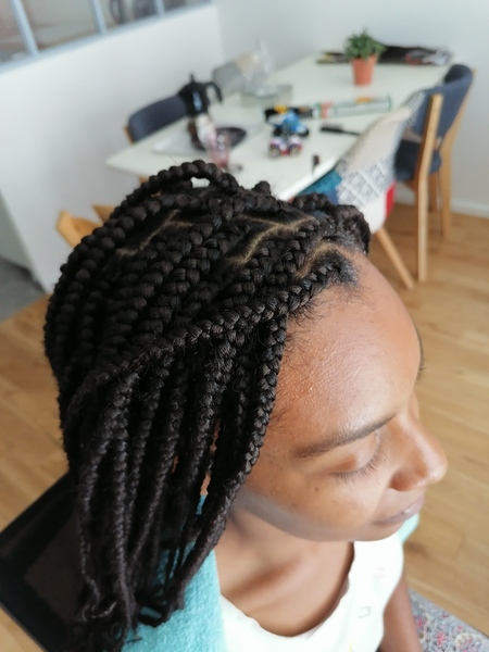 salon de coiffure afro tresse tresses box braids crochet braids vanilles tissages paris 75 77 78 91 92 93 94 95 DQKNLTZC