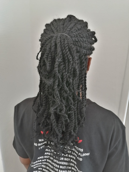 salon de coiffure afro tresse tresses box braids crochet braids vanilles tissages paris 75 77 78 91 92 93 94 95 VTWWKSIL